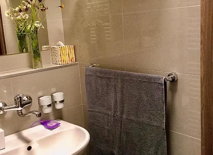 437 هورني ميسيكي