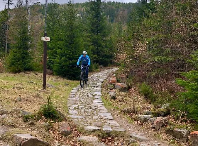 437 هورني ميسيكي